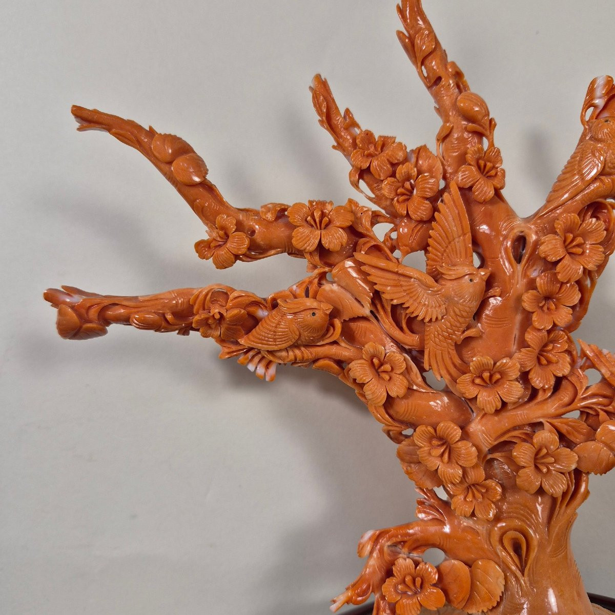 scultura in corallo-photo-1