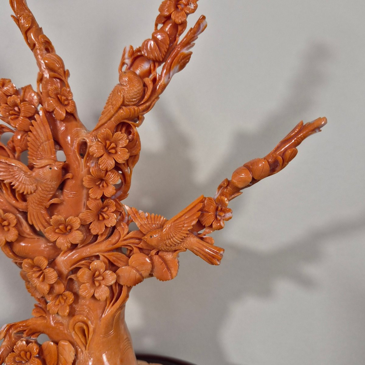 scultura in corallo-photo-3