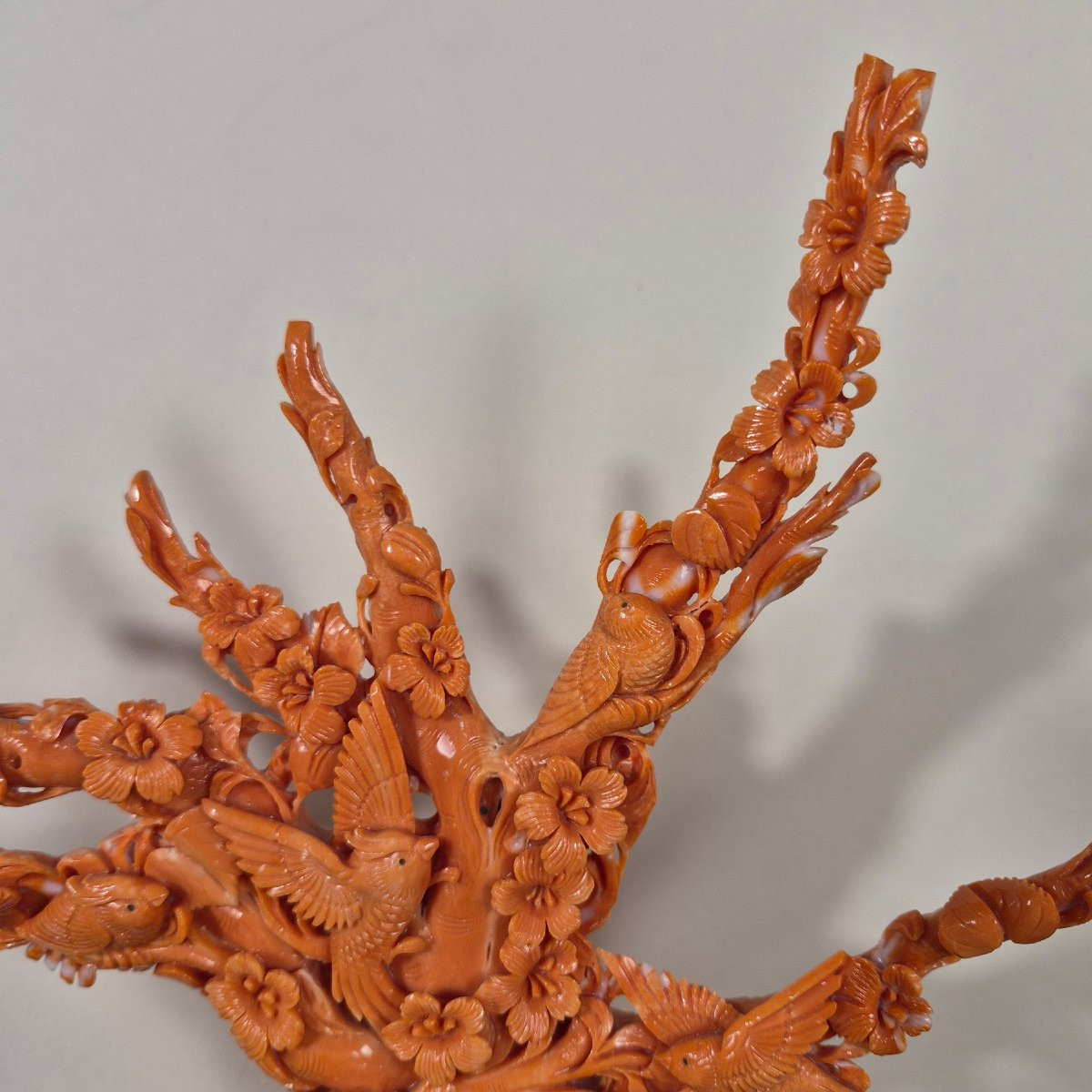 scultura in corallo-photo-7