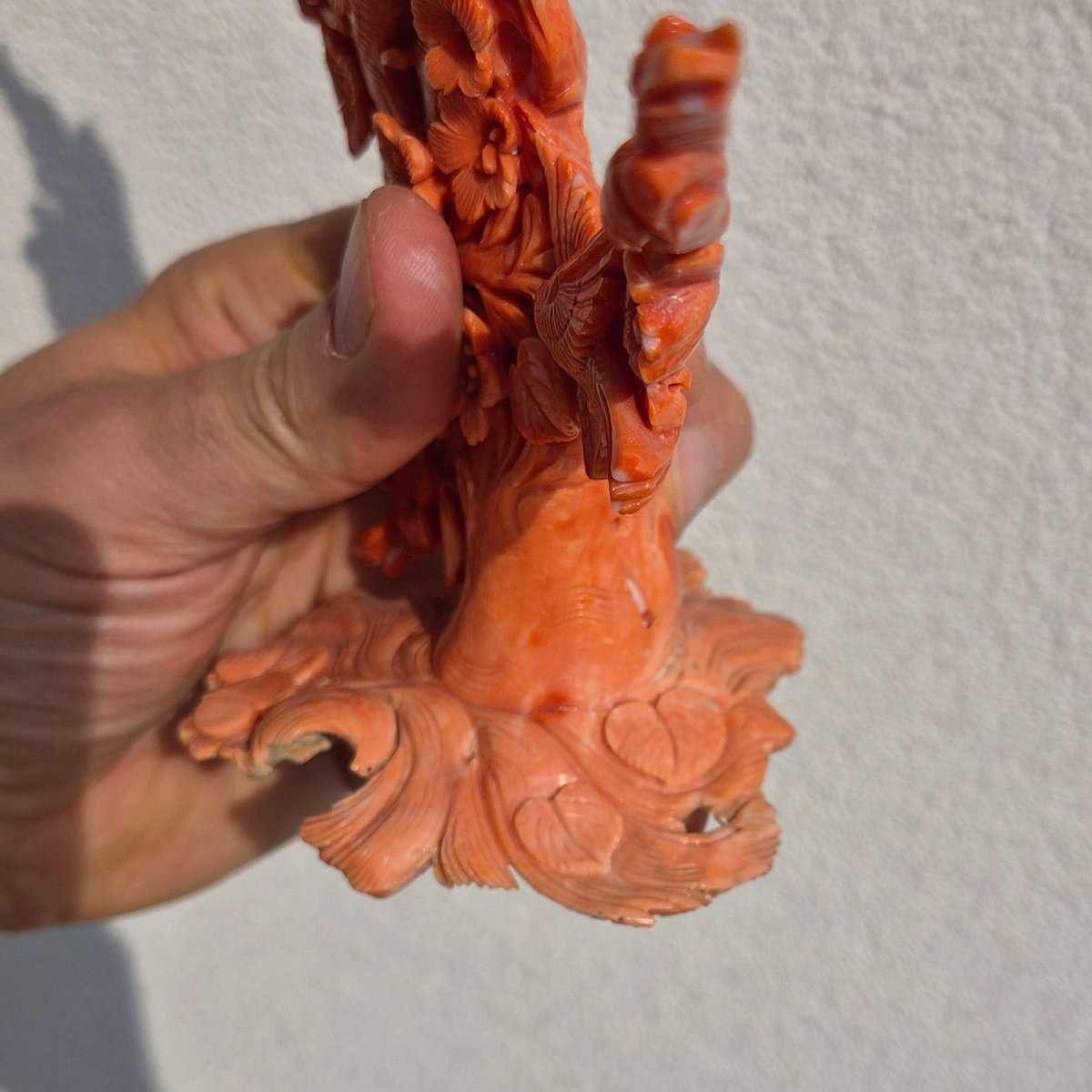 scultura in corallo-photo-8