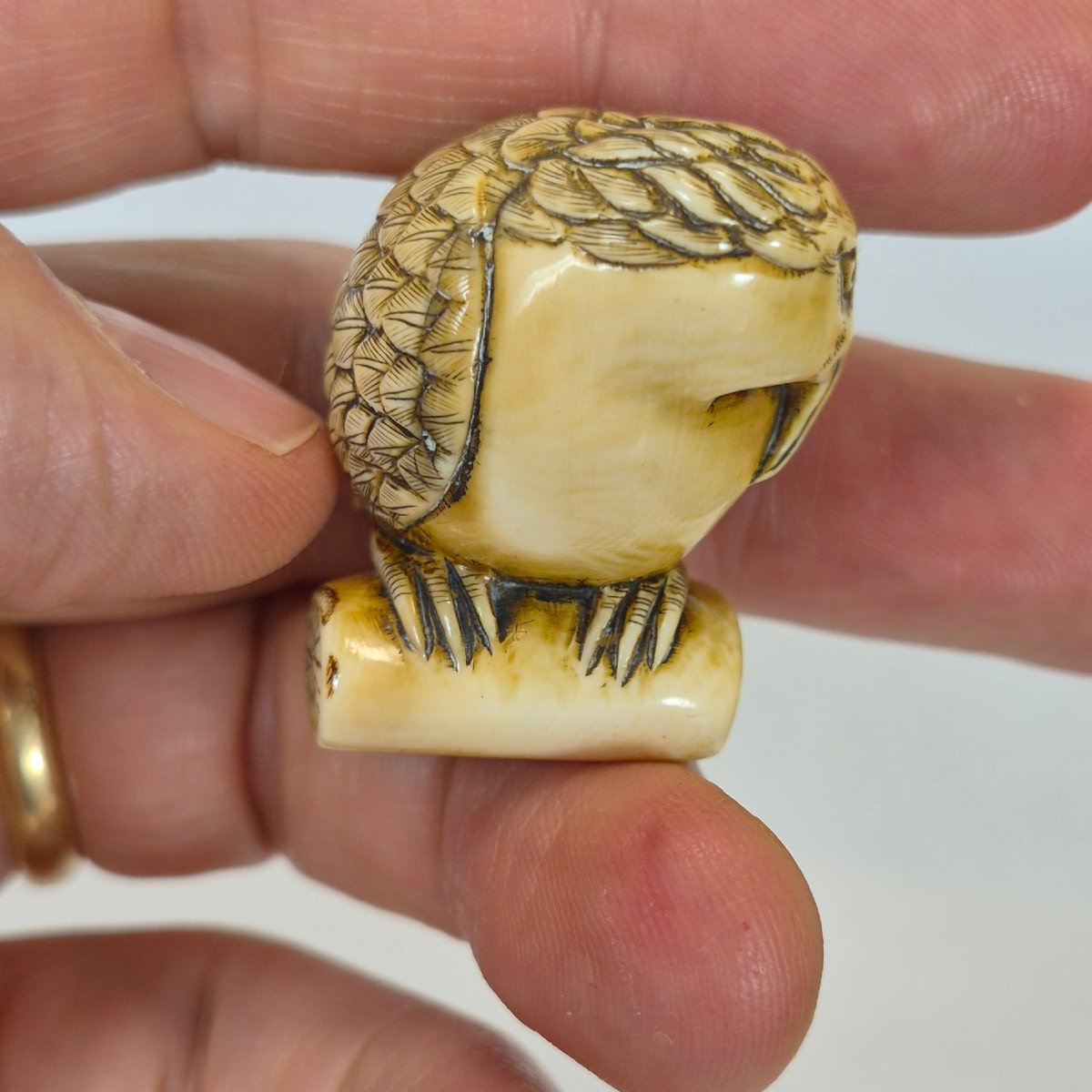 netsuke in avorio-photo-3