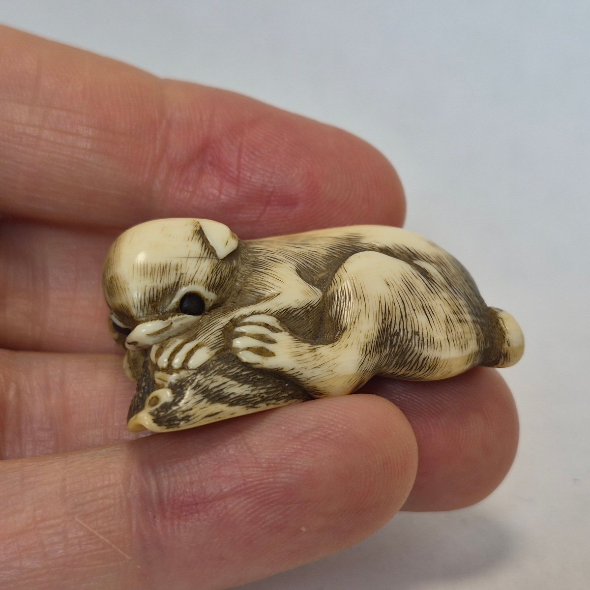 netsuke in avorio-photo-3