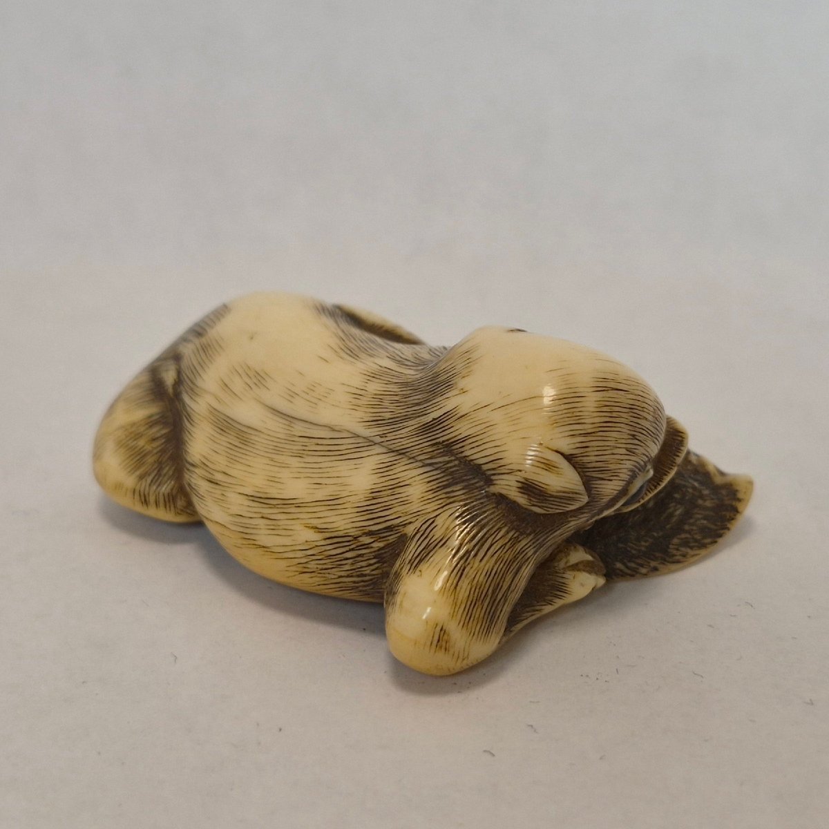 netsuke in avorio-photo-4