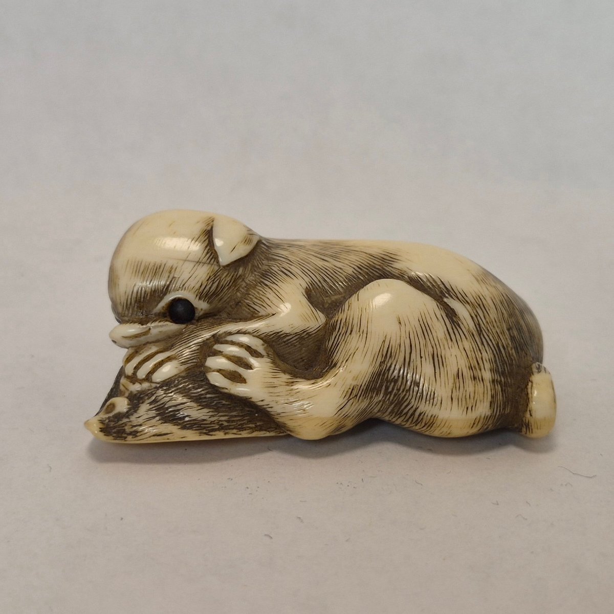 netsuke in avorio-photo-2