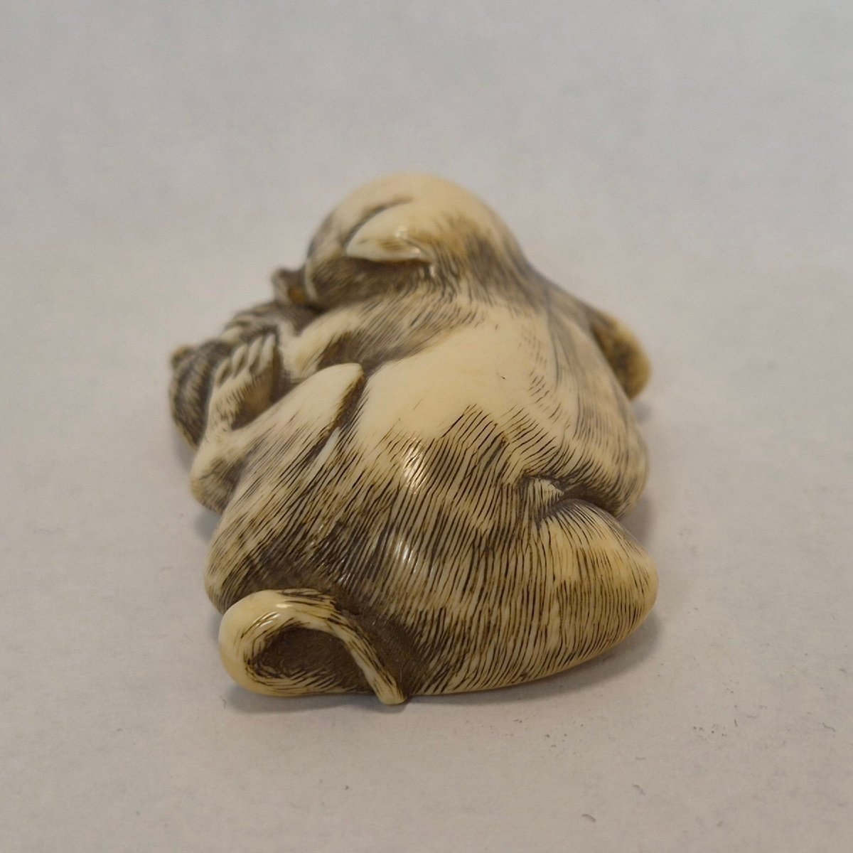 netsuke in avorio-photo-3