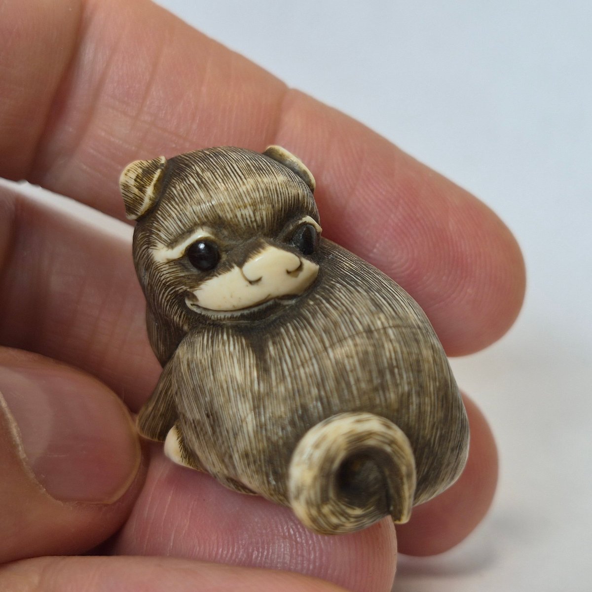 netsuke in avorio-photo-3