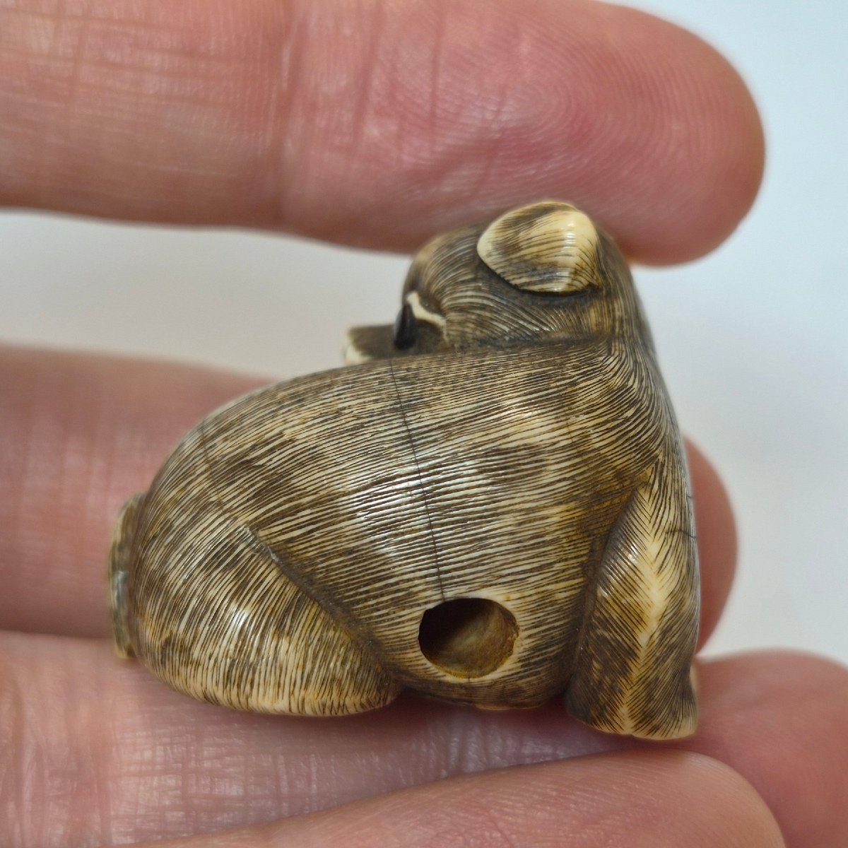 netsuke in avorio-photo-6