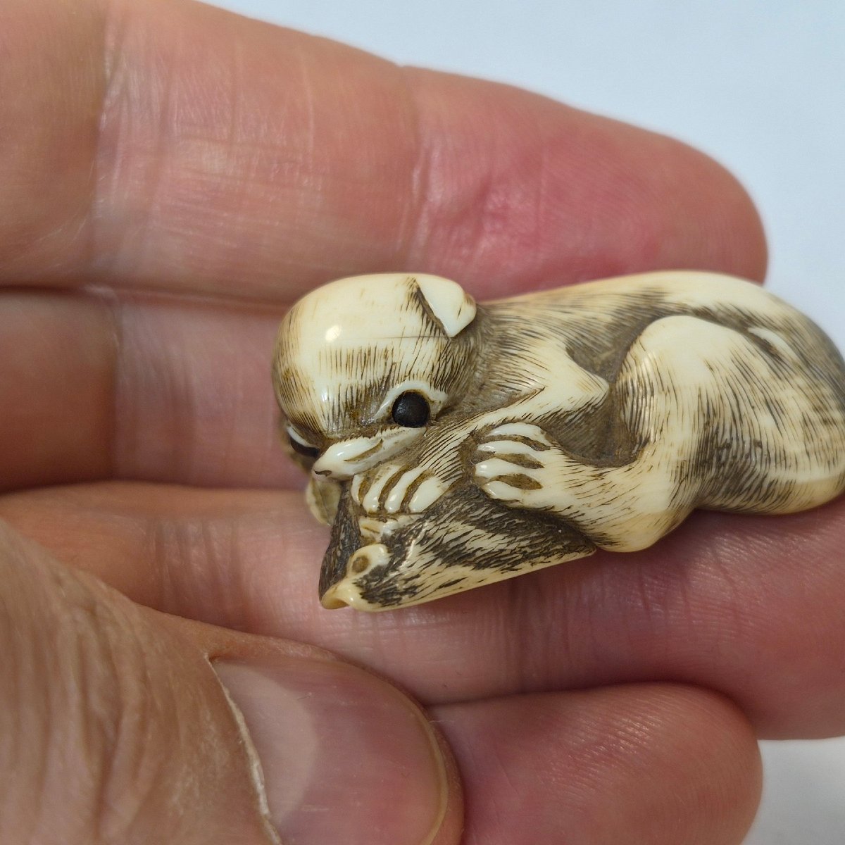 netsuke in avorio-photo-4