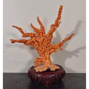 scultura in corallo