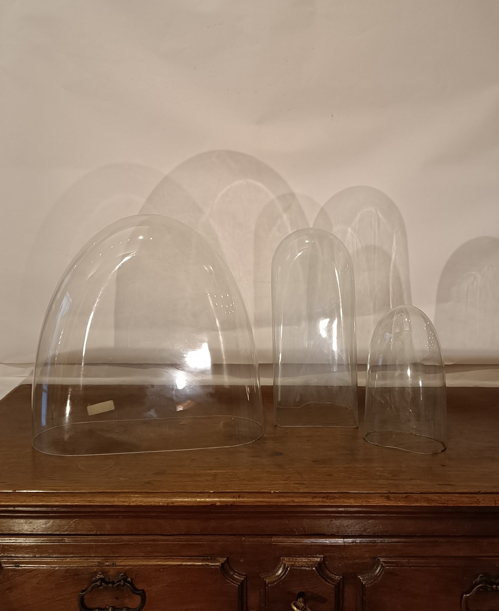 CAMPANE DI VETRO PER OROLOGI 