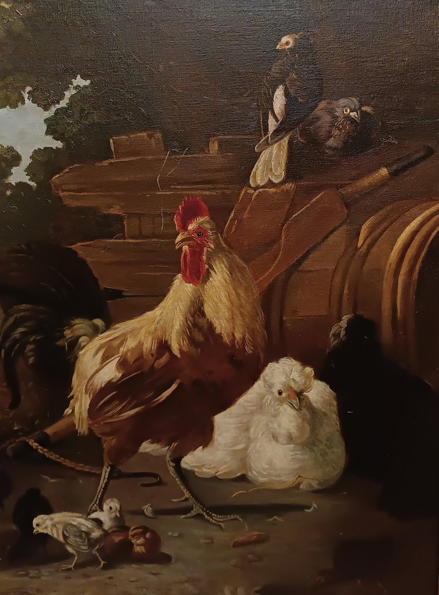 DIPINTO CON GALLI E GALLINE META' XIX SECOLO-photo-3
