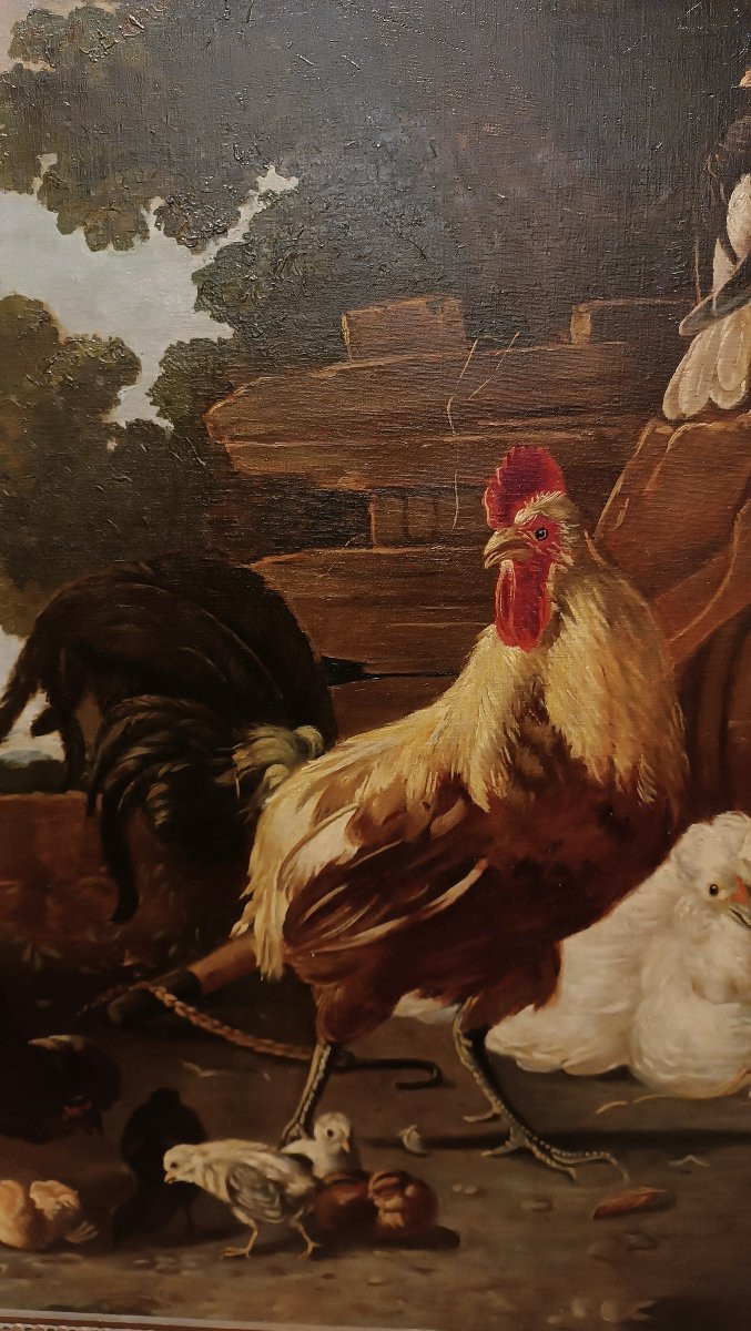 DIPINTO CON GALLI E GALLINE META' XIX SECOLO-photo-4