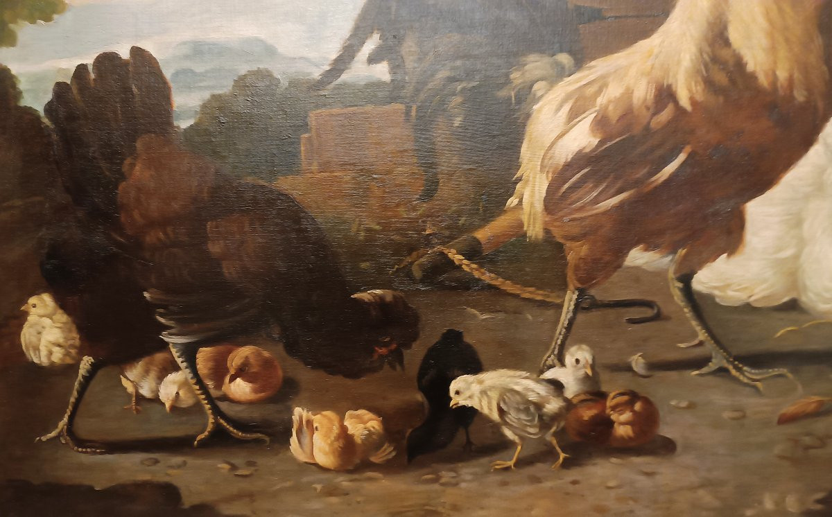 DIPINTO CON GALLI E GALLINE META' XIX SECOLO-photo-3