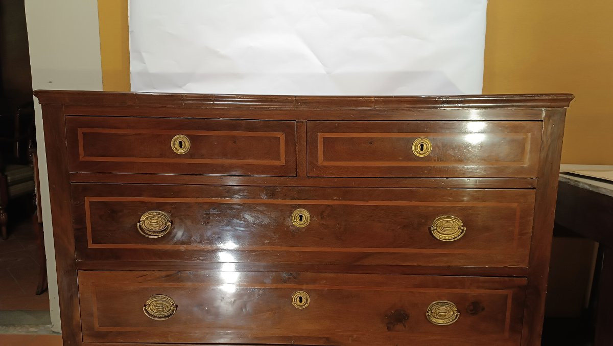 CASSETTONE LASTRONATO E INTARSIATO PRIMO XIX SECOLO-photo-2