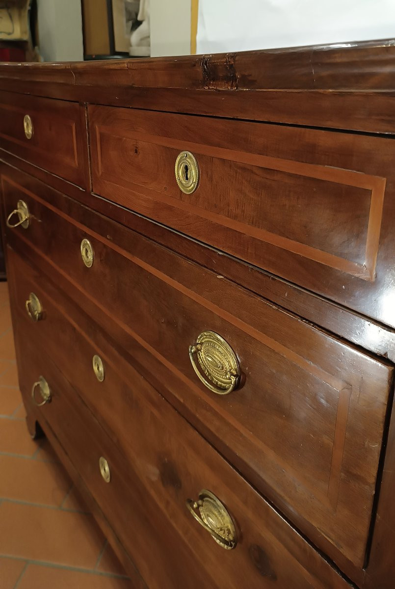 CASSETTONE LASTRONATO E INTARSIATO PRIMO XIX SECOLO-photo-4