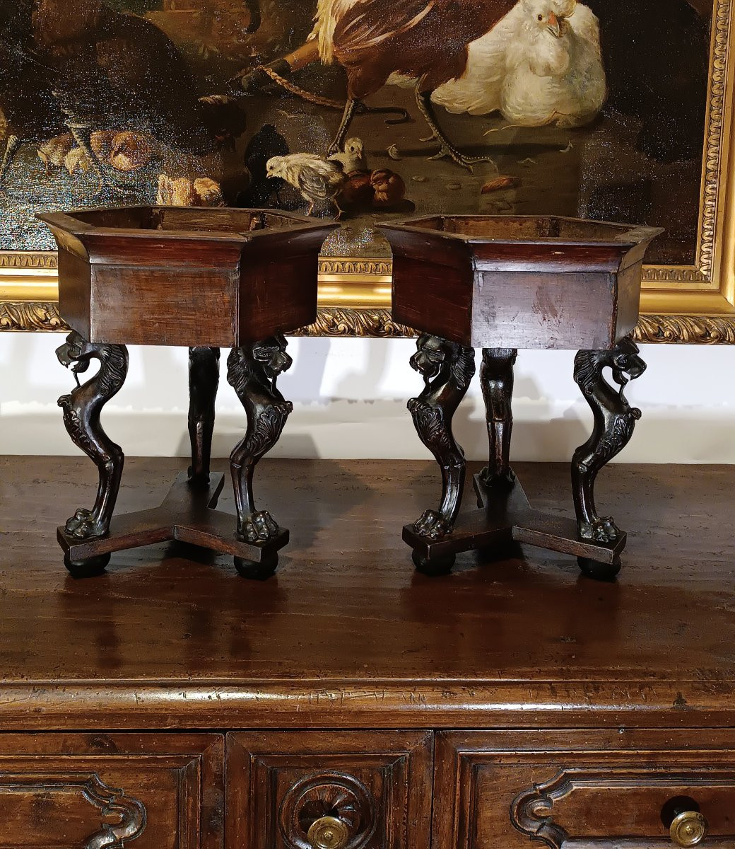 COPPIA DI CACHEPOTS IN NOCE META' XIX SECOLO-photo-4