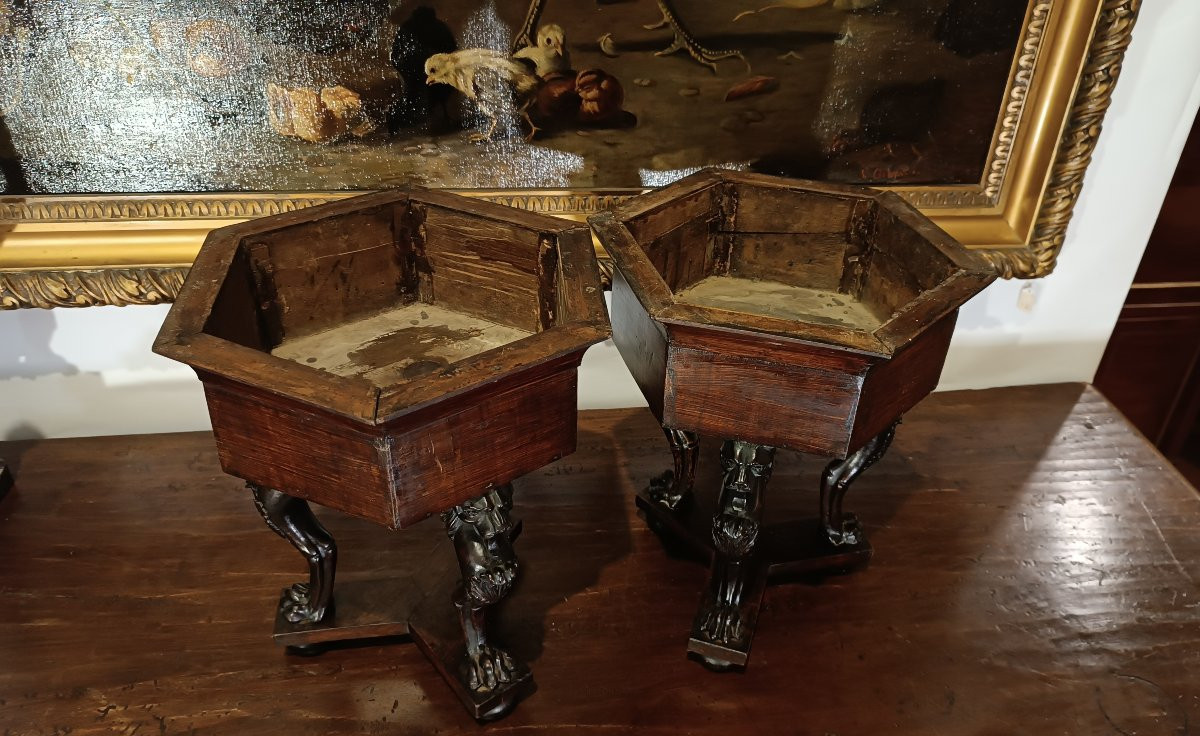 COPPIA DI CACHEPOTS IN NOCE META' XIX SECOLO-photo-1