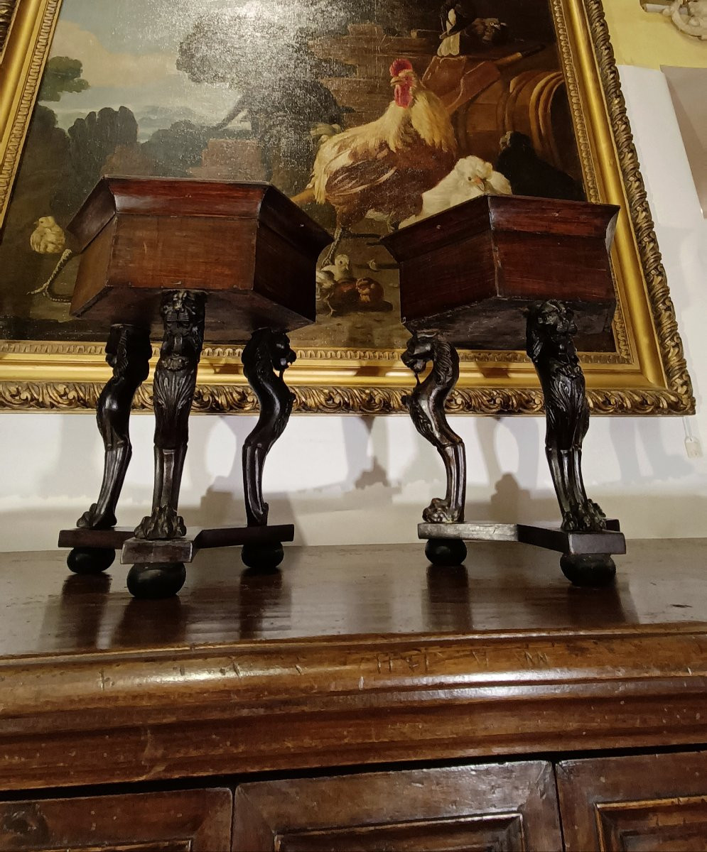 COPPIA DI CACHEPOTS IN NOCE META' XIX SECOLO-photo-3