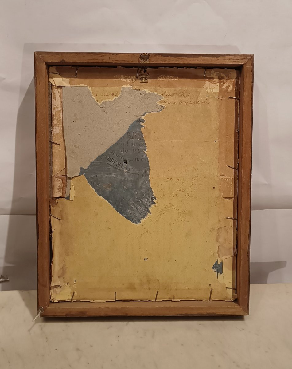 RITRATTO DI FANCIULLO CON GATTO PRIMI XX SECOLO -photo-4