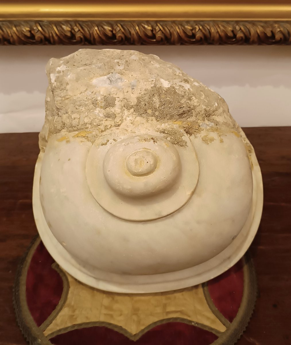 ACQUASANTIERA IN MARMO PRIMA META' XVII SECOLO-photo-4