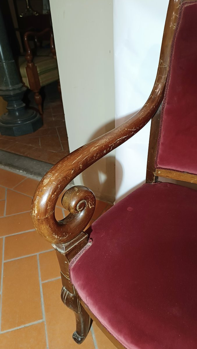 SERIE DI OTTO POLTRONE IN MOGANO CARLO X PRIMA META' XIX SECOLO-photo-1