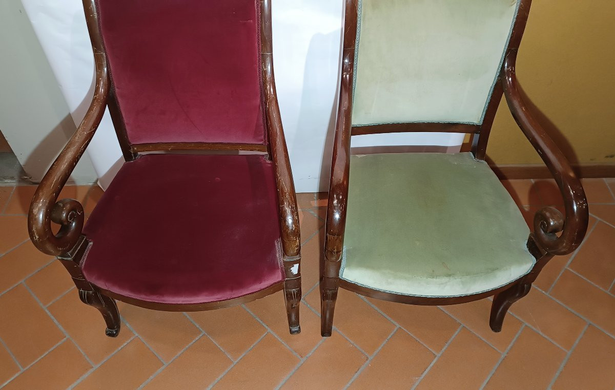 SERIE DI OTTO POLTRONE IN MOGANO CARLO X PRIMA META' XIX SECOLO-photo-4