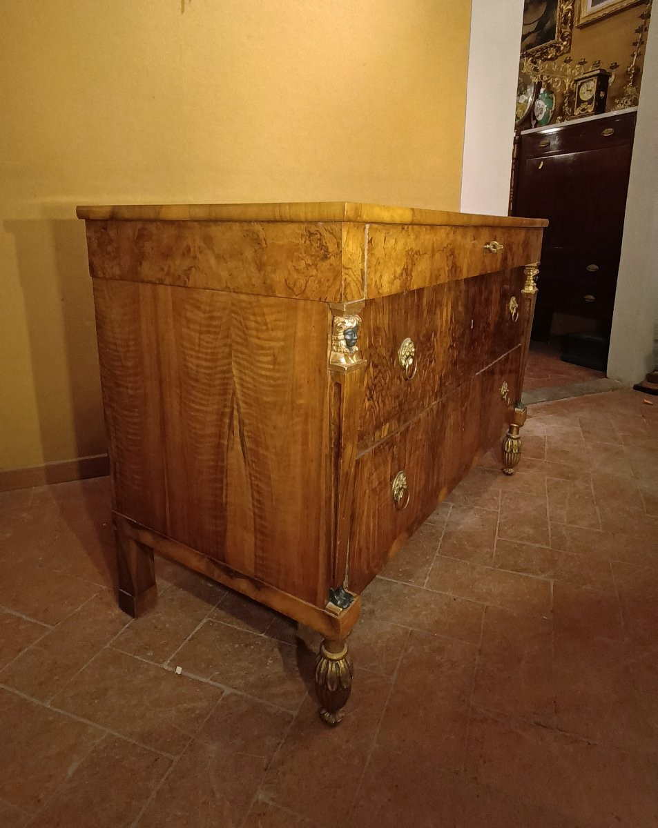 CASSETTONE LASTRONATO IMPERO PRIMI DEL XIX SECOLO-photo-3