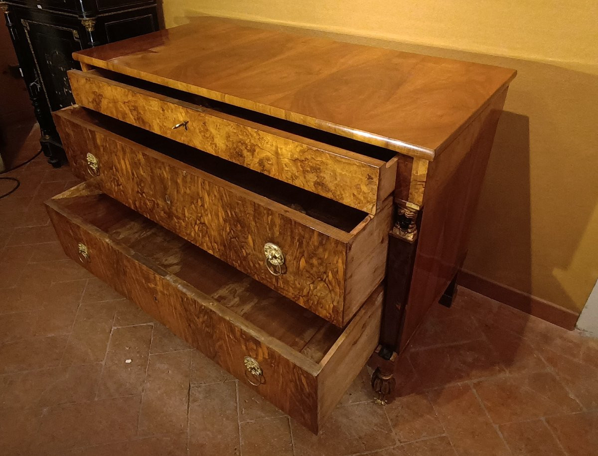 CASSETTONE LASTRONATO IMPERO PRIMI DEL XIX SECOLO-photo-4