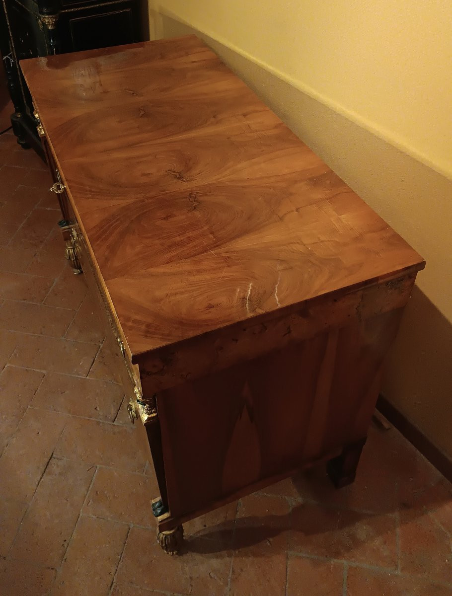 CASSETTONE LASTRONATO IMPERO PRIMI DEL XIX SECOLO-photo-5