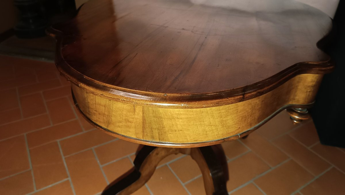 TAVOLO OVALE DA CENTRO LUIGI FILIPPO PRIMA META' XIX SECOLO-photo-3