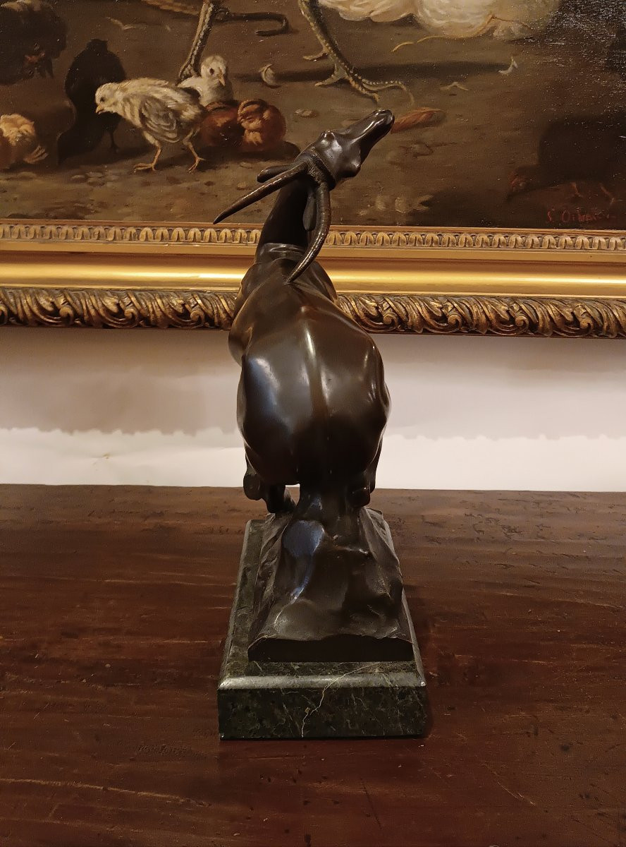 SCULTURA IN BRONZO CON ANTILOPE DI IGINIO MONTINI PRIMI DEL XX SECOLO -photo-3