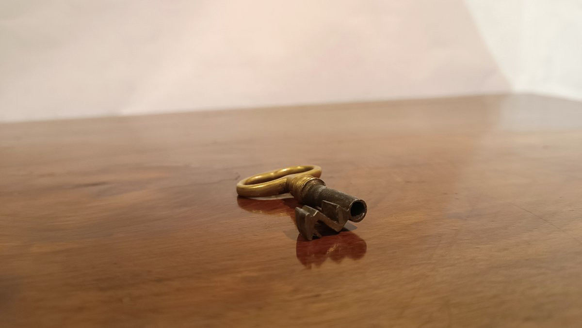 SECRÉTAIRE IN PIUMA DI NOCE META' XIX SECOLO -photo-1