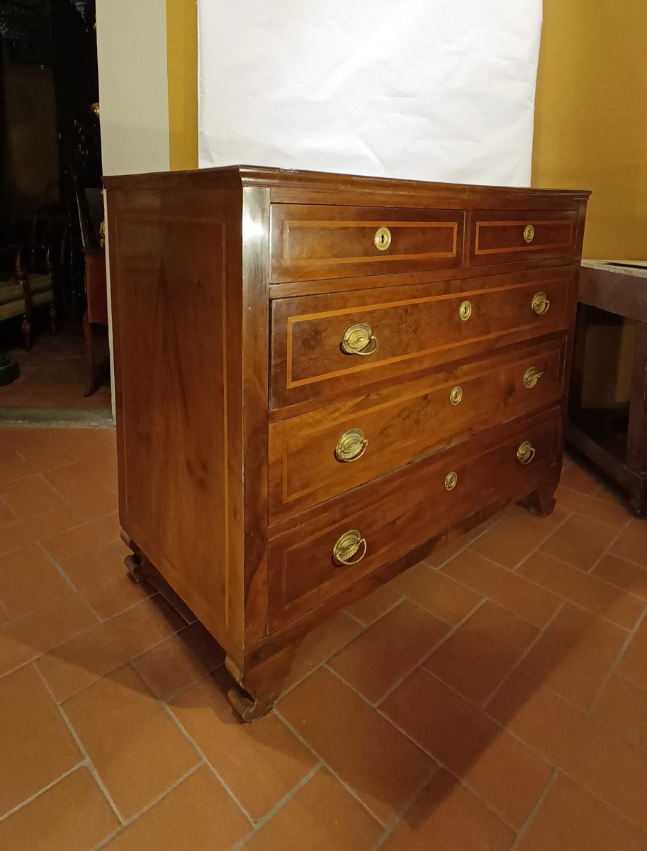 CASSETTONE LASTRONATO E INTARSIATO PRIMO XIX SECOLO-photo-6