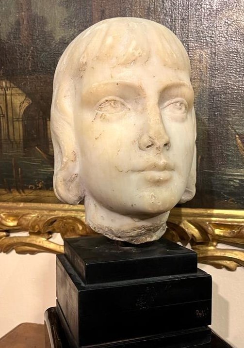 Testa di giovane in bel marmo bianco. Italia - XVII-XVIII secolo.