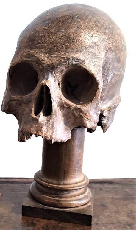 Teschio in terracotta - Vanitas o Memento mori del XVI secolo.-photo-3