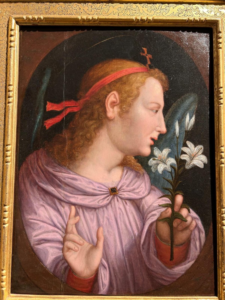 Angelo annunciante attribuibile a Fra Paolino da Pistoia (1488-1547)-photo-6
