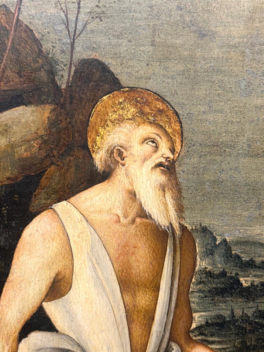 San Girolamo attr. al Maestro del tondo Greenville allievo toscano di Pietro Vannucci-photo-4
