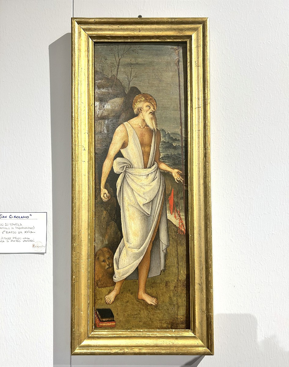 San Girolamo attr. al Maestro del tondo Greenville allievo toscano di Pietro Vannucci