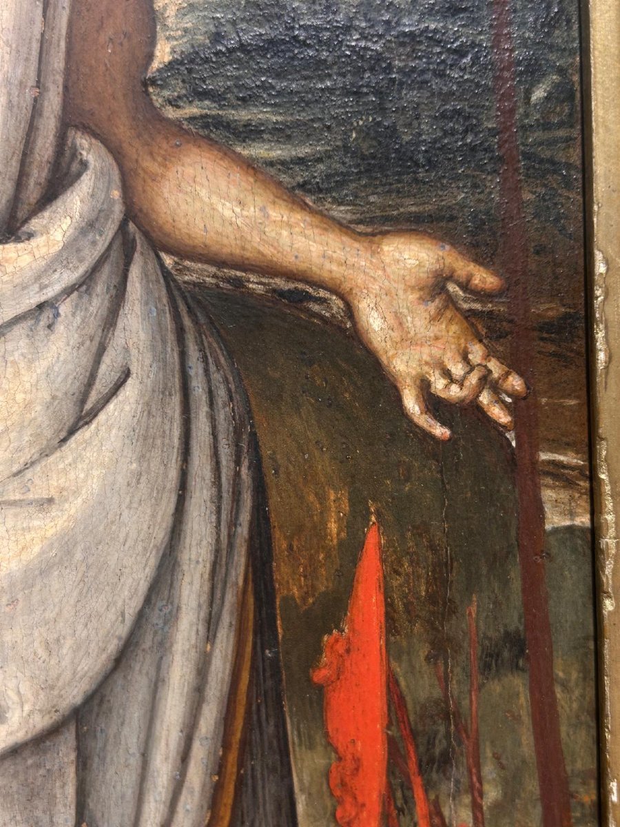San Girolamo attr. al Maestro del tondo Greenville allievo toscano di Pietro Vannucci-photo-2