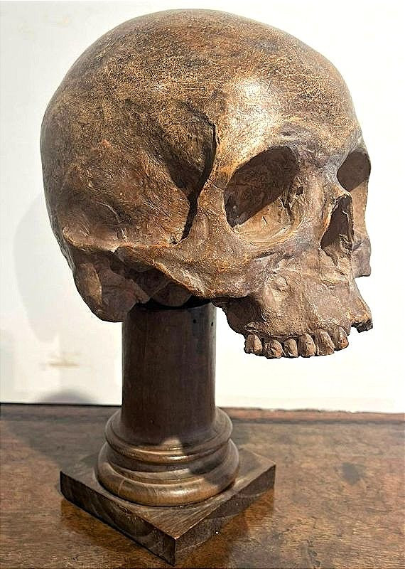 Teschio in terracotta - Vanitas o Memento mori del XVI secolo.-photo-2