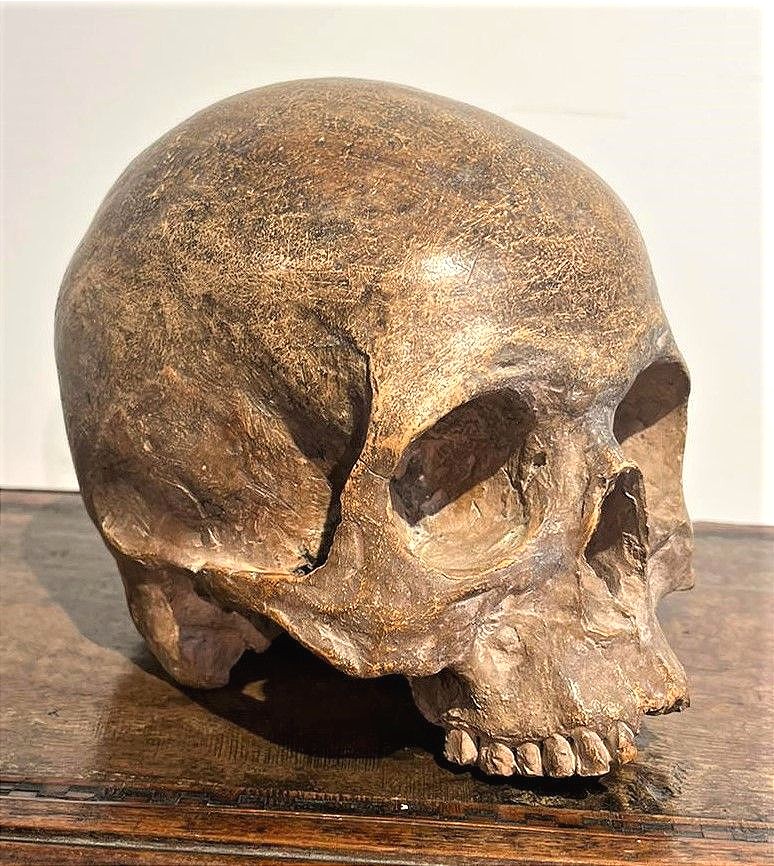 Teschio in terracotta - Vanitas o Memento mori del XVI secolo.