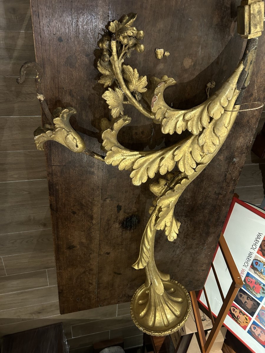 Importanti torcieri da palazzo dorati e riccamente intagliati, Italia centrale del XVII secolo.-photo-5