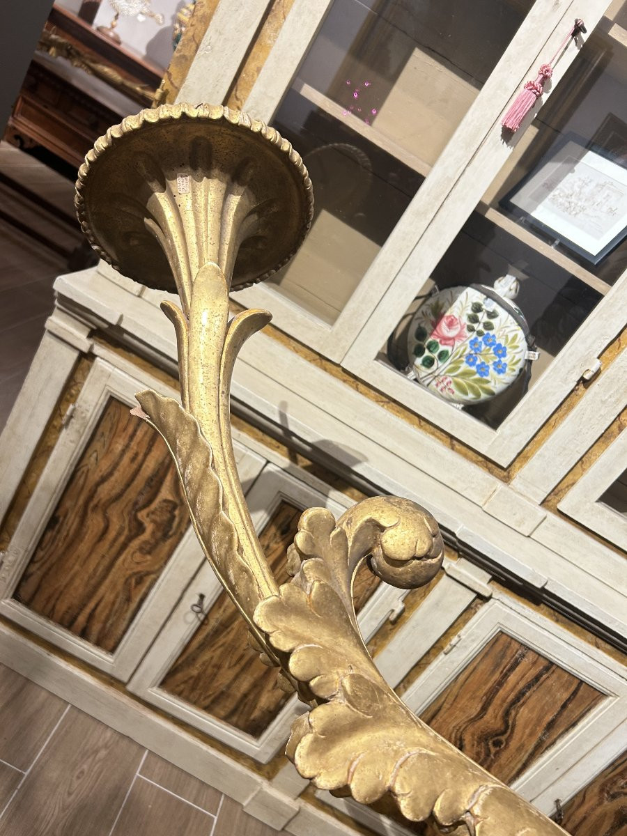 Importanti torcieri da palazzo dorati e riccamente intagliati, Italia centrale del XVII secolo.-photo-3