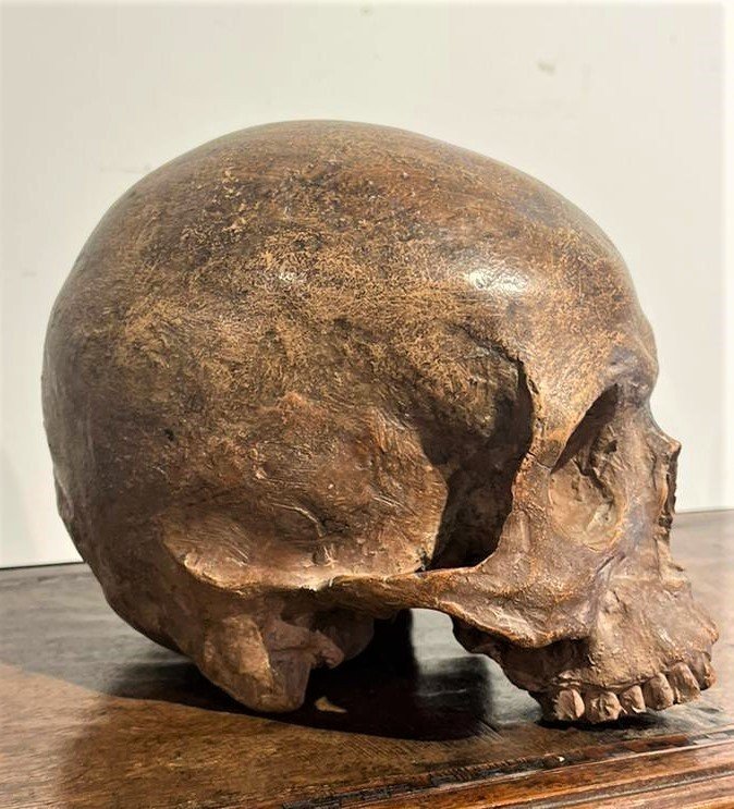 Teschio in terracotta - Vanitas o Memento mori del XVI secolo.-photo-2