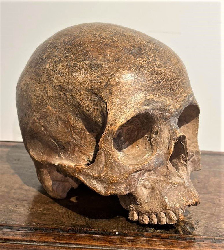 Teschio in terracotta - Vanitas o Memento mori del XVI secolo.-photo-3