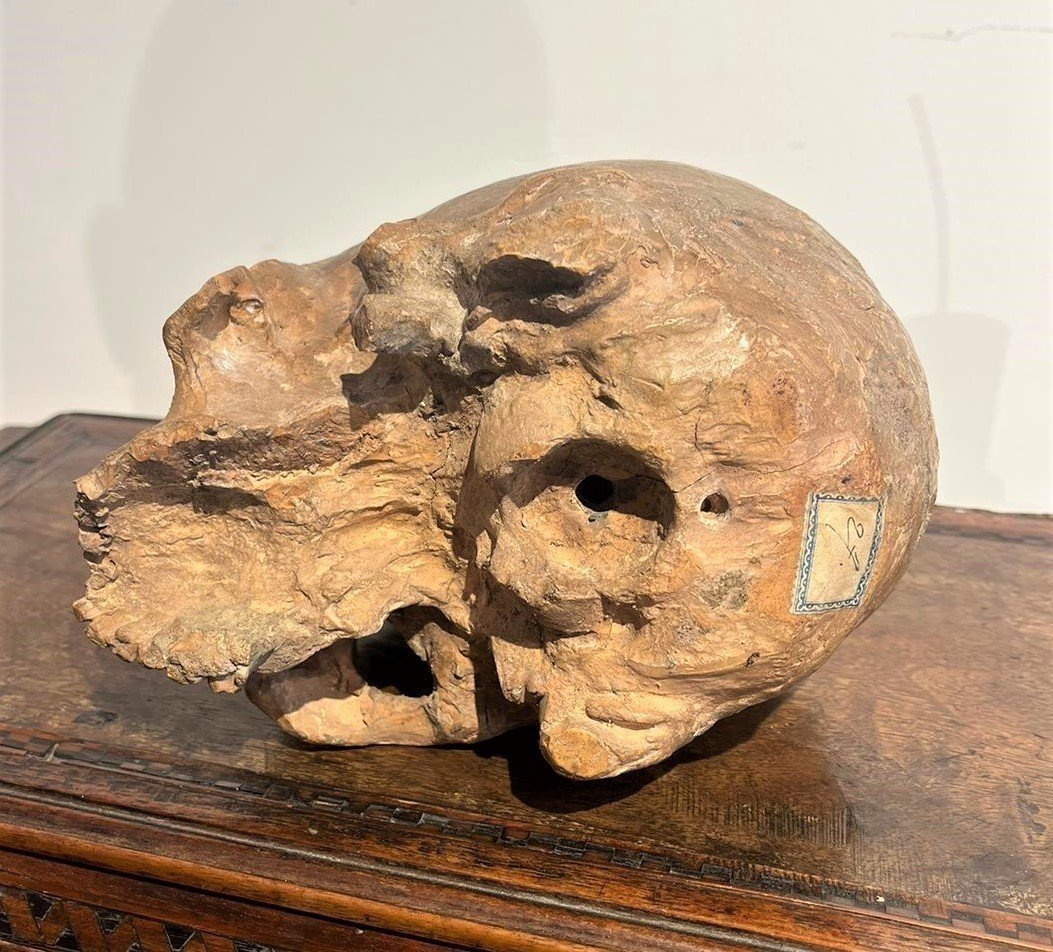 Teschio in terracotta - Vanitas o Memento mori del XVI secolo.-photo-2