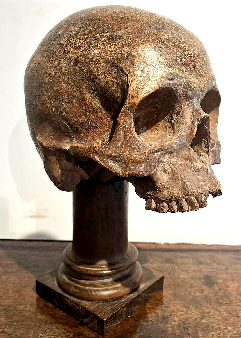 Teschio in terracotta - Vanitas o Memento mori del XVI secolo.-photo-1