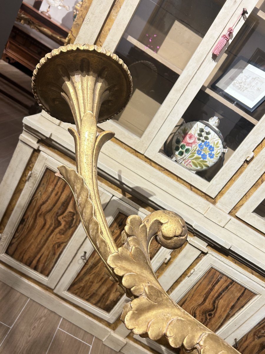 Importanti torcieri da palazzo dorati e riccamente intagliati, Italia centrale del XVII secolo.-photo-4