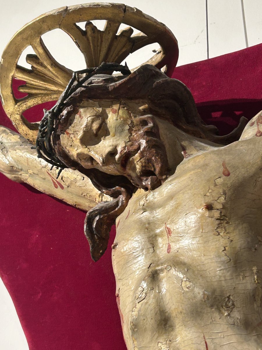 Crocifisso ligneo della prima metà del XVIII secolo. Liguria, bottega di Anton Maria Maragliano-photo-2