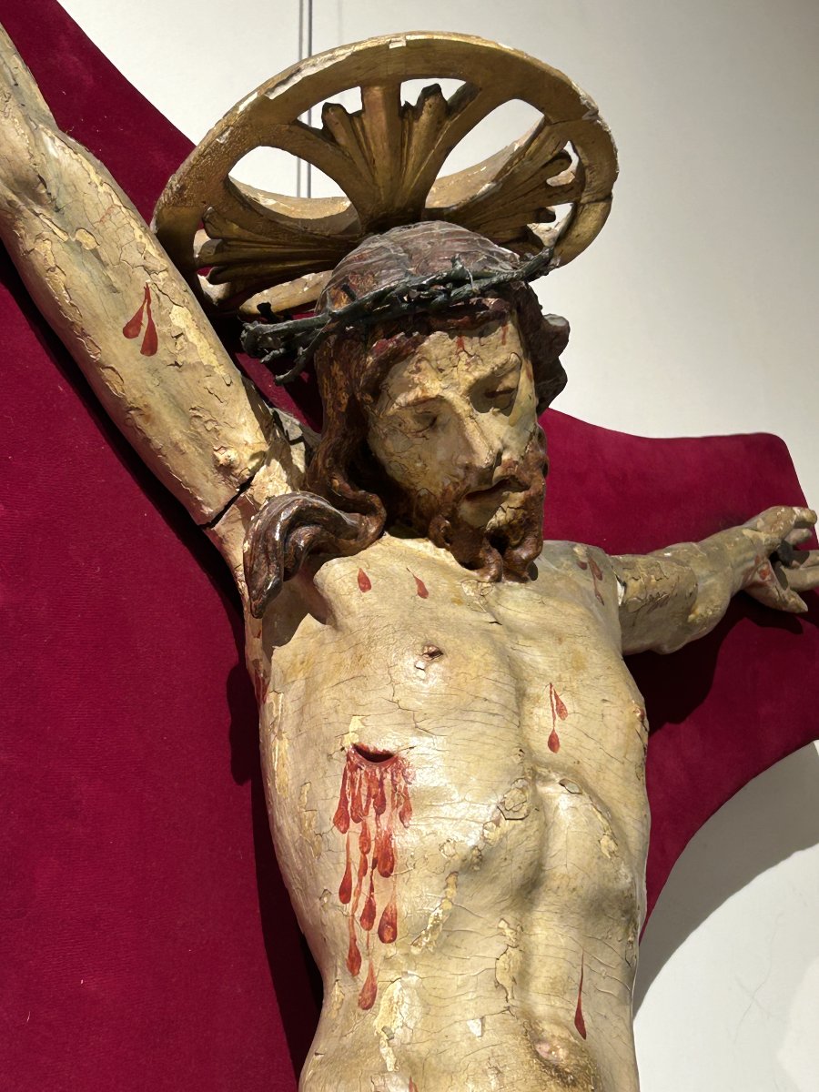 Crocifisso ligneo della prima metà del XVIII secolo. Liguria, bottega di Anton Maria Maragliano-photo-4